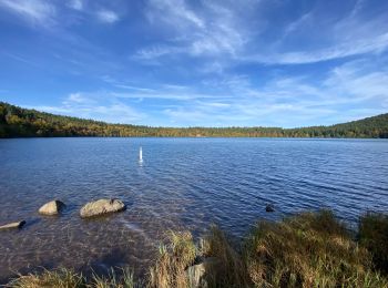 Randonnée Marche Cayres - Lac du Bouchet - Photo