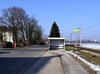 Percorso A piedi Bad Wimsbach-Neydharting - Natur Pur - Photo