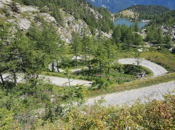 Tour Wandern Val-Cenis - LAC DU MONT-CENIS (73) - Photo