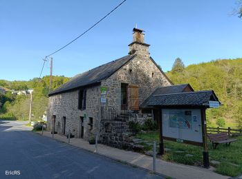 Excursión Marcha nórdica Corrèze - Chemin de paradis - Photo