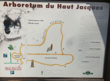 Trail On foot Les Rouges-Eaux - circuit poussettes du col du Haut Jacques  - Photo
