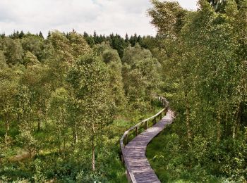 Trail On foot Holzminden - LLR - Hochmoor - Photo