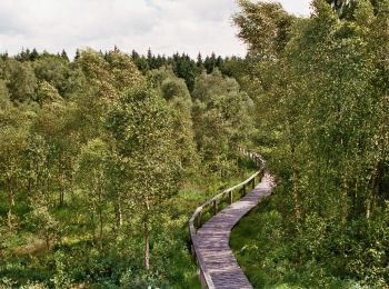 Excursión A pie Holzminden - LLR - Hochmoor - Photo