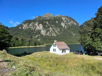 Trail Walking Laruns - Ossau : Tour des lacs d’Ayous  - Photo