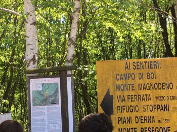 Tour Zu Fuß Lecco - Sentiero Rotary Lecco - Photo