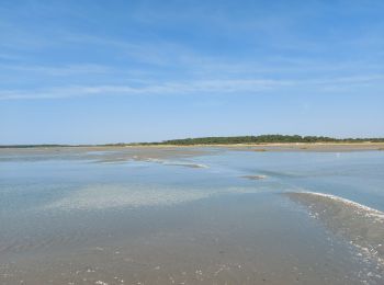 Trail Walking Le Crotoy - balade baie de somme - Photo