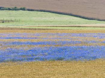 Randonnée Marche La Gaudaine - La Gaudaine 11 km - Photo