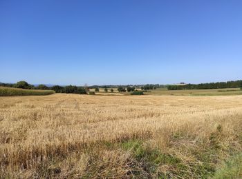 Tocht Hybride fiets Heimsbrunn - Heimsbrunn Dannemarie  - Photo