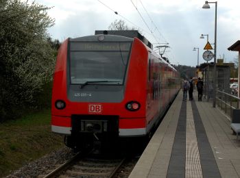 Tour Zu Fuß Reichartshausen - Rundwanderweg Helmstadt 2: Reichartshausen-Weg - Photo