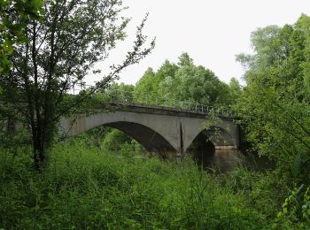 Tour Zu Fuß Lübben (Spreewald) - Rundwanderweg Fischteiche - Photo