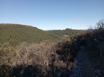 Tour Wandern Anduze - Anduze le 30 01 2022 - Photo