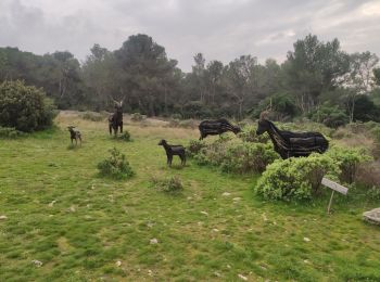 Trail Walking Tarascon - Parking du Planet - Chapelle St Gabriel - Photo