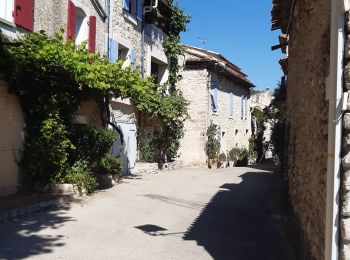 Excursión Senderismo Saint-Martin-de-la-Brasque - St Martin de Brasque - Photo