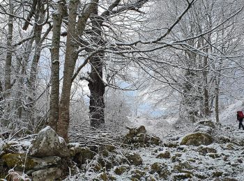 Randonnée Marche Miglos - rocher de MIGLOS  - Photo