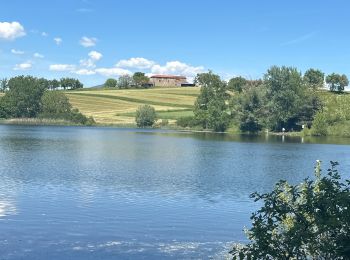 Trail sport Cheminas - Lac de Meinettes de Cheminas - Photo