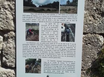 Excursión Senderismo Teyran - Teyran Castries aqueduc  - Photo