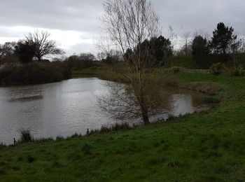 Tour Wandern Saint-Martin-du-Fouilloux - Saint Martin du Fouilloux  - Photo