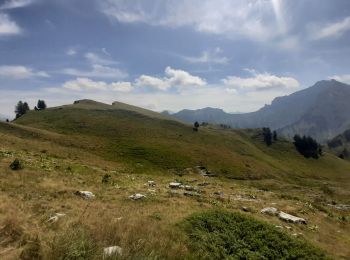Trail Walking Talloires-Montmin - BORNES: UN PEU DE DENIVELE AU DEPART DE PLANFAIT - Photo