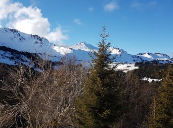 Excursión Raquetas de nieve Taninges - praz5 - Photo