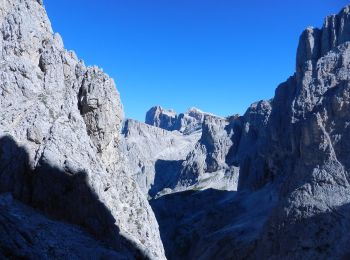 Tocht Te voet Canale d'Agordo - IT-702 - Photo