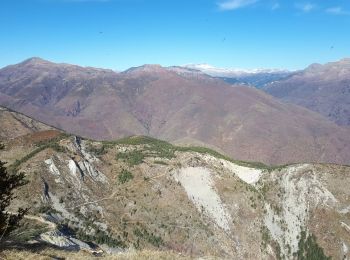 Tour Wandern Puget-Rostang - La Mairola de Puget Rostand - Photo