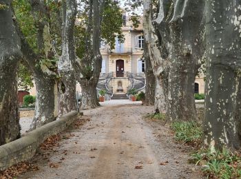 Excursión Senderismo Aniane - entre vignes et forêts  - Photo