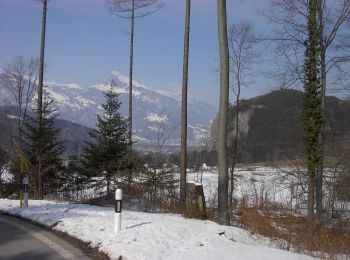 Randonnée A pied Maienfeld - Guscha (CH) - Lawena - Photo