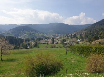 Tocht Stappen Wangenbourg-Engenthal - Le donjon du Wangenbourg - Photo