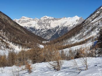 Trail Snowshoes Puy-Saint-Vincent - le vallon de Narreyroux - Photo