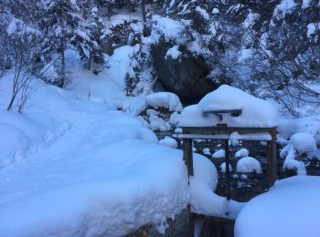 Excursión Raquetas de nieve Orsières - Champex Lac - Arpette - Champex Lac - Photo