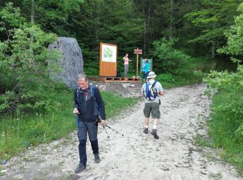 Trail Walking Lélex - rando n1 - Photo