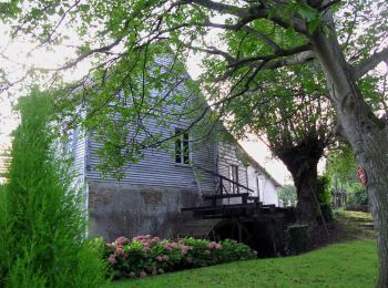 Randonnée A pied Maisnières - Le Moulin de Visse - Photo