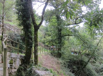 Trail On foot Monte e Queimadela - Rota do Maroiço - Photo