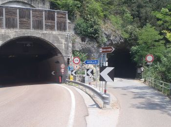 Randonnée A pied Ledro - Via de Ari e sentiero Rino Zanotti - Photo