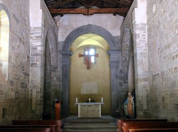 Percorso A piedi Firenzuola - (SI L10) Passo della Futa - Montepiano - Photo