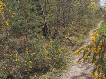 Trail Walking Baron-sur-Odon - #Confinement_Baron-sur-Odon_4,1_km - Photo