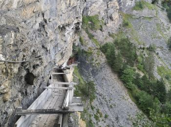 Excursión Senderismo Ayent - le parzet  - Photo