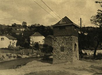 Tour Zu Fuß Waldrach - Waldrach 2 - Photo