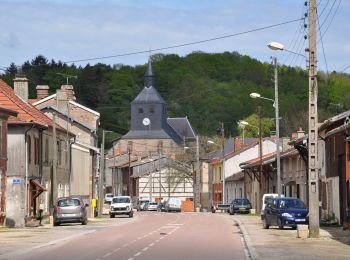 Tocht Te voet Beaulieu-en-Argonne - Circuit de l'Ermitage de Saint-Rouin - Photo