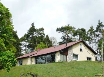 Excursión A pie Weil der Stadt - DE-SWV Gelbe Raute, Prediktplatz - Schneller West - Photo