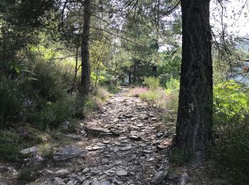 Trail On foot Saint-Mélany - Le sentier des Lauzes - Photo