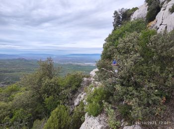Trail Walking Peyrolles-en-Provence - peyrolles - Photo