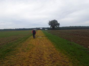 Tocht Trail Châteauneuf-sur-Cher - Châteauneuf sur cher - Photo