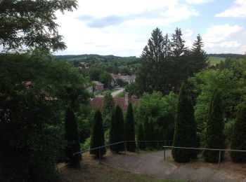 Tour Zu Fuß Zalamerenye - K+ - Photo