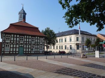 Tour Zu Fuß Schorfheide - Gelber Strich - Photo