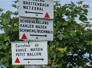 Trail Walking Sondernach - Hommage à  Catherine - Photo