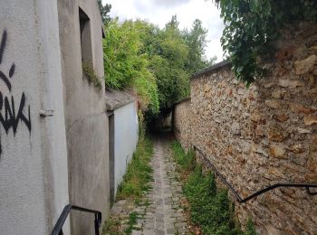 Tocht Stappen Igny - Entre jardins et forets - Photo