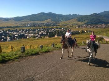 Trail Horseback riding Ribeauvillé - ribeauville-kientzheim - Photo