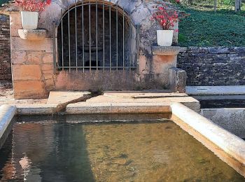 Excursión Senderismo Chemaudin et Vaux - Chemaudin et vaux Mazerolles  Placey  - Photo