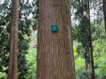 Randonnée Marche Tervueren - Tervuren bis notte - Photo